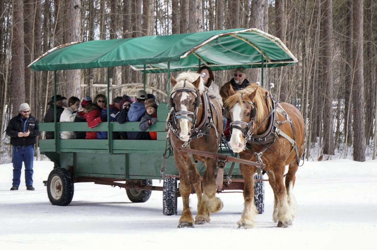 Visitors enjoy horse-drawn sleigh rides and hiking during Doors Open event at Limerick Forest