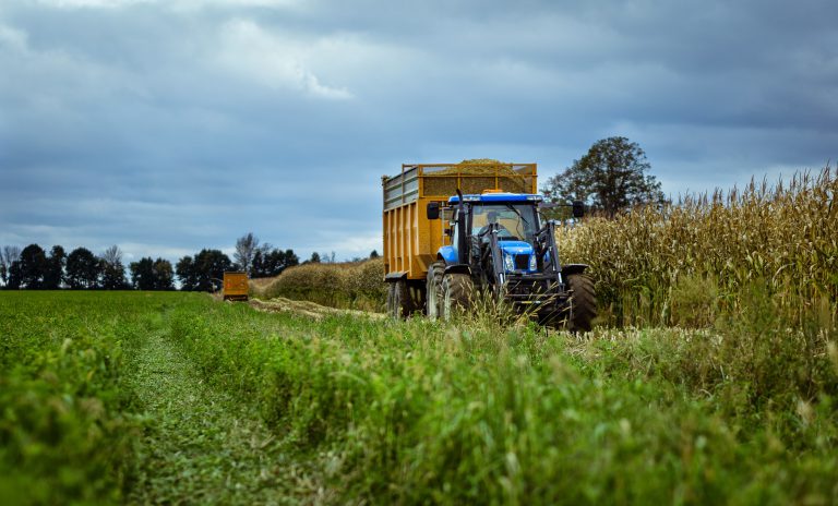 North Grenville Rural Summit Aiming to Increase Local Agriculture