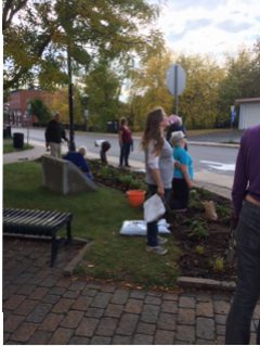 Photo Credit: Doreen Hill - Horticultural Society planting tulips in Rotary Park