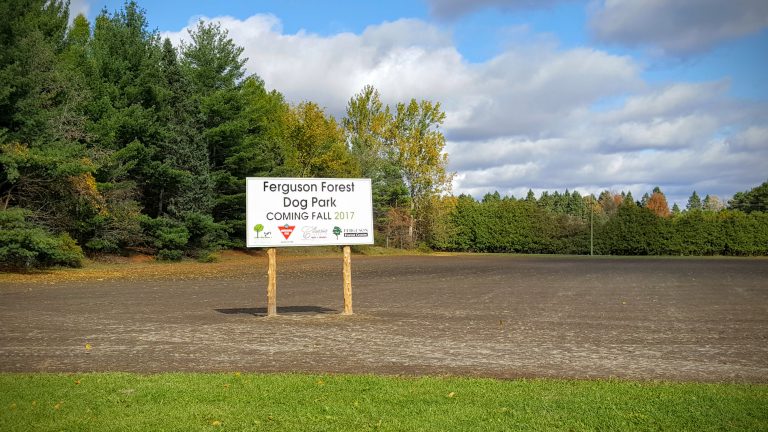 Dog park organization asking for submissions for dog calendar