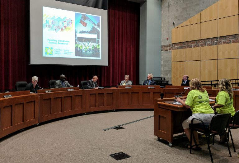 North Grenville Council hears from Neon Night organizers