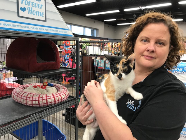 pet valu kittens for adoption