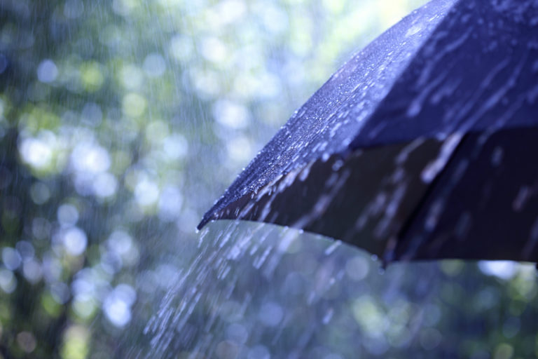 Environment Canada Calls For Wet Start To Summer