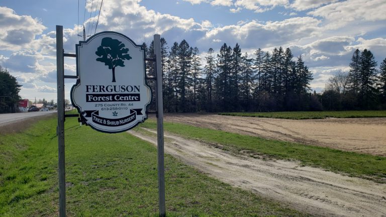 Ferguson Forest Centre Corporation Excited For Summer Season