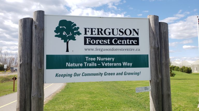 Ferguson Tree Nursery hosting open house this Saturday