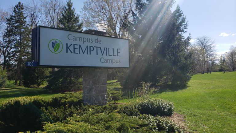 Students from two local schools plant garlic crop at Kemptville Campus