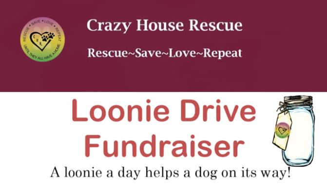 Crazy House Rescue Seeking Donations Through Loonie Drive Fundraiser