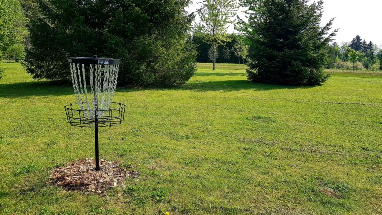 Disc Golf Course Introduced At Ferguson Forest Centre