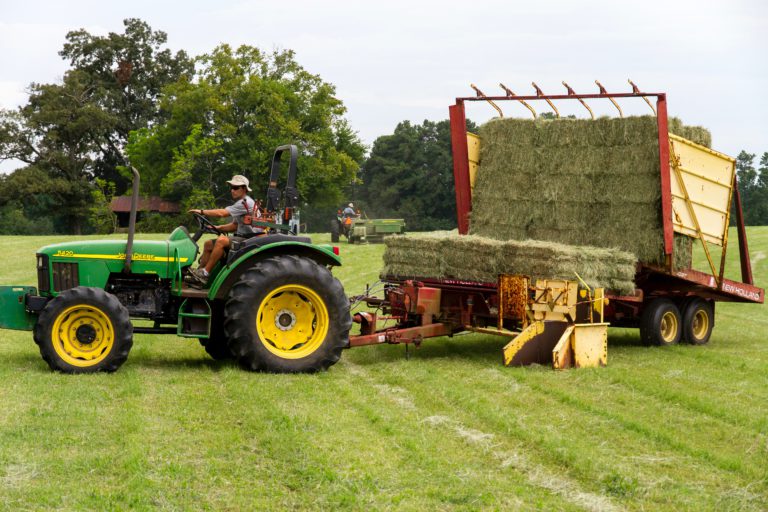 Agricultural Area Review consultations coming this February