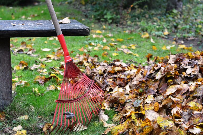 Yard waste collection week begins Monday